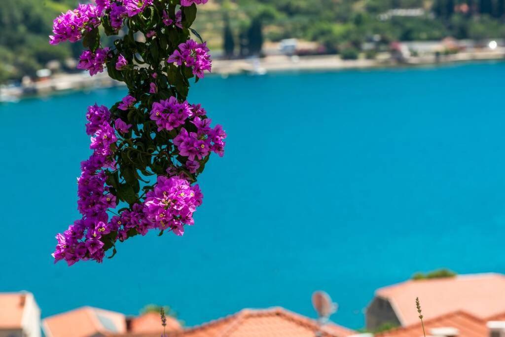 Villa Mardia- Sea View Infinity Pool Built 2023 扎通 外观 照片